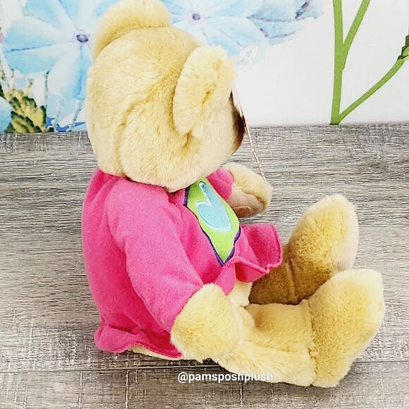 Hallmark Kiss Kiss Teddy Bear Plush 10" Valentine’s Green Heart Pink Outfit - Picture 4 of 7